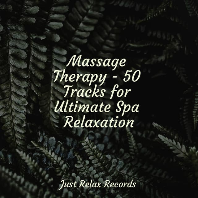 Massage Therapy - 50 Tracks for Ultimate Spa Relaxation - Children's Music