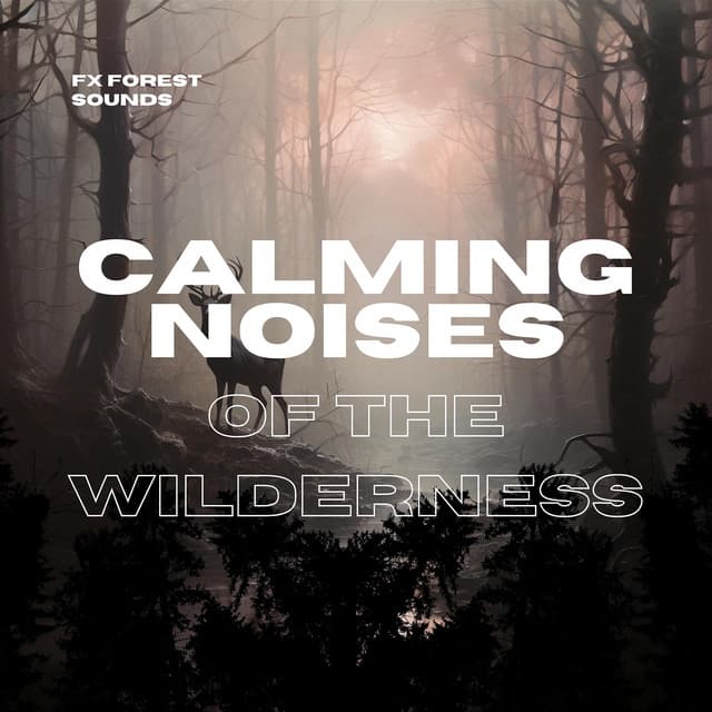 Calming Noises of the Wilderness - FX Forest Sounds