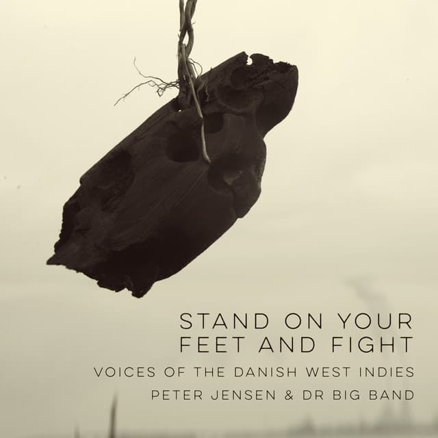 Stand on Your Feet and Fight - Voices of the Danish West Indies - Peter Jensen