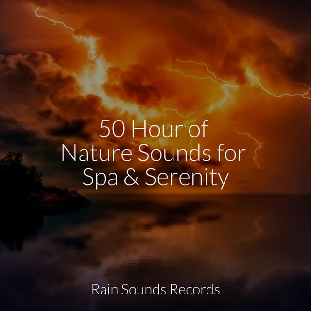 50 Hour of Nature Sounds for Spa & Serenity - Sleepy Night Music