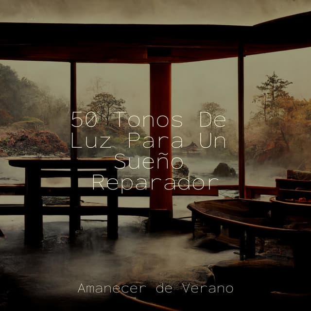 50 Tonos De Luz Para Un Sueño Reparador - Musica para Meditar