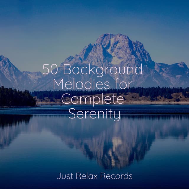 50 Background Melodies for Complete Serenity - Relaxing Mindfulness Meditation Relaxation Maestro