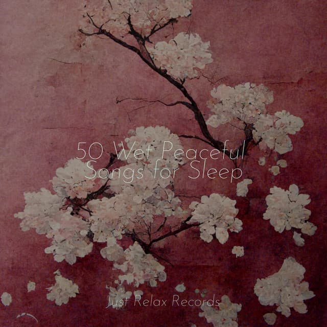 50 Wet Peaceful Songs for Sleep - Meditación Guiada