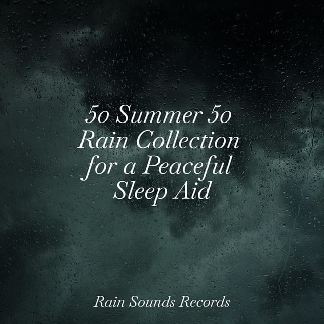 50 Summer 50 Rain Collection for a Peaceful Sleep Aid - Calming Sounds