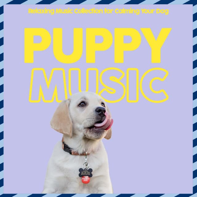 Puppy Music Therapy