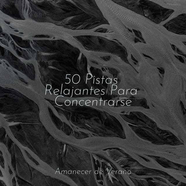 50 Pistas Relajantes Para Concentrarse - Sons da Natureza