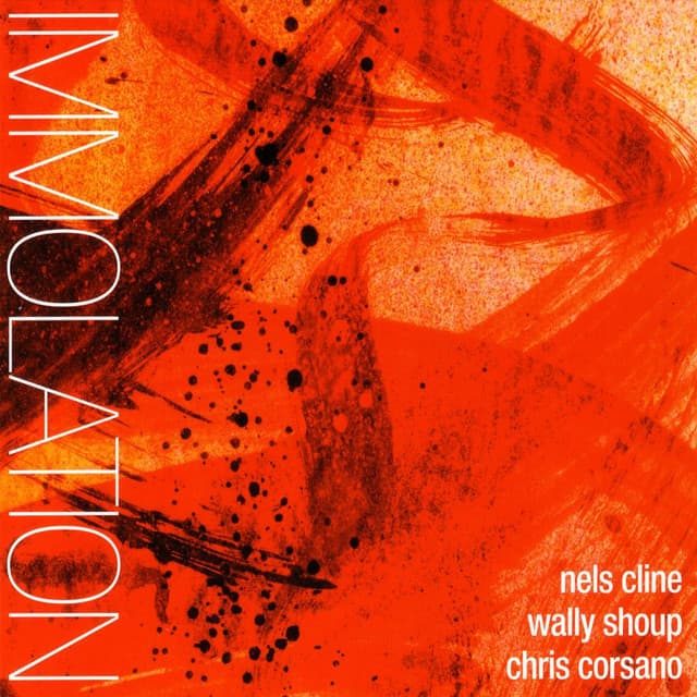 Immolation/Immersion - Nels Cline