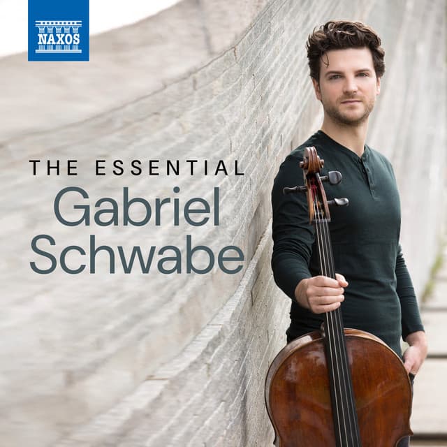 The Essential Gabriel Schwabe - Gabriel Schwabe