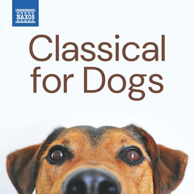 Classical for Dogs - Johann Sebastian Bach