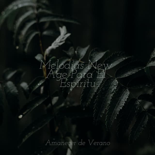 Melodías New Age Para El Espíritu - Relaxing Spa Music