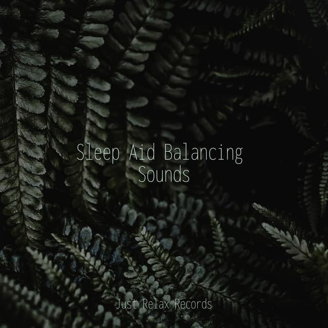 Sleep Aid Balancing Sounds - Brain Study Music Guys