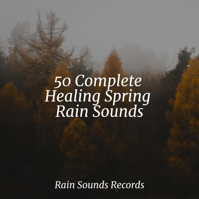 50 Complete Healing Spring Rain Sounds - Lucid Dreaming Music