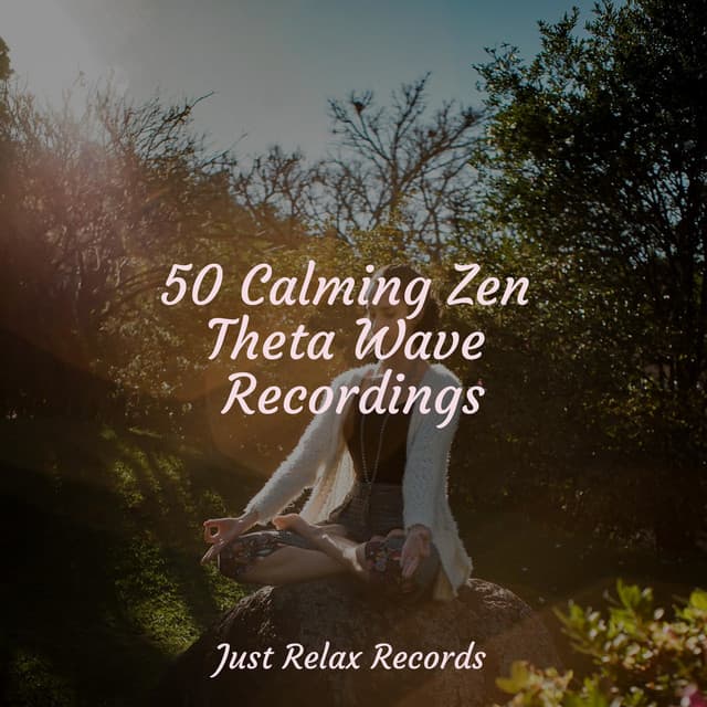 50 Calming Zen Theta Wave Recordings - Children's Music