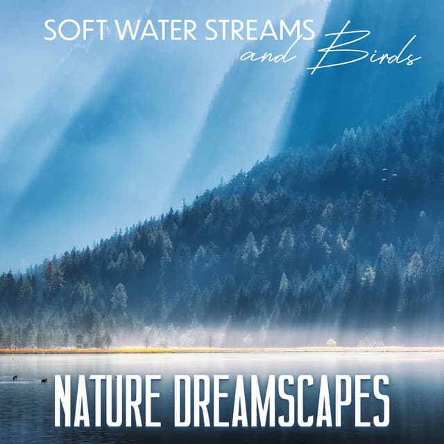 Soft Water Streams and Birds: Nature Dreamscapes - Serenity Stream