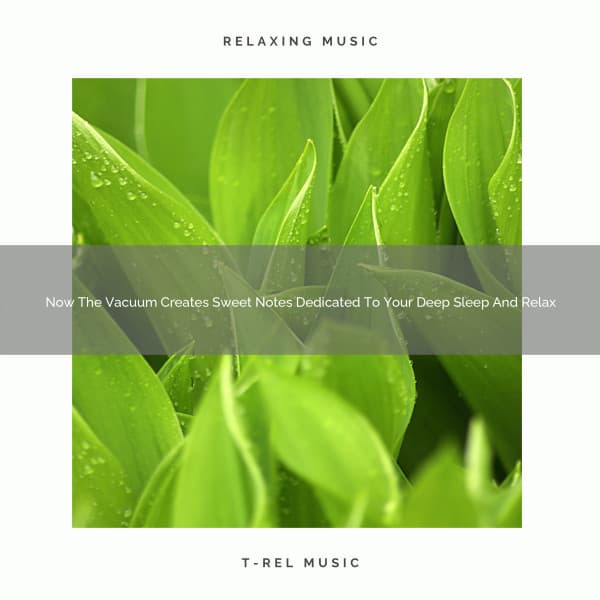 Now The Vacuum Creates Sweet Notes Dedicated To Your Deep Sleep And Relax - White Noise Relaxation