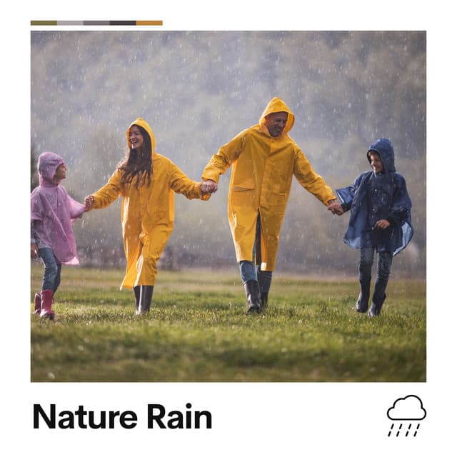 Nature Rain - Rainforest Sounds