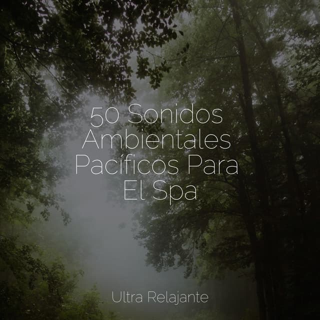 50 Sonidos Ambientales Pacíficos Para El Spa - Naturaleza Sonidos