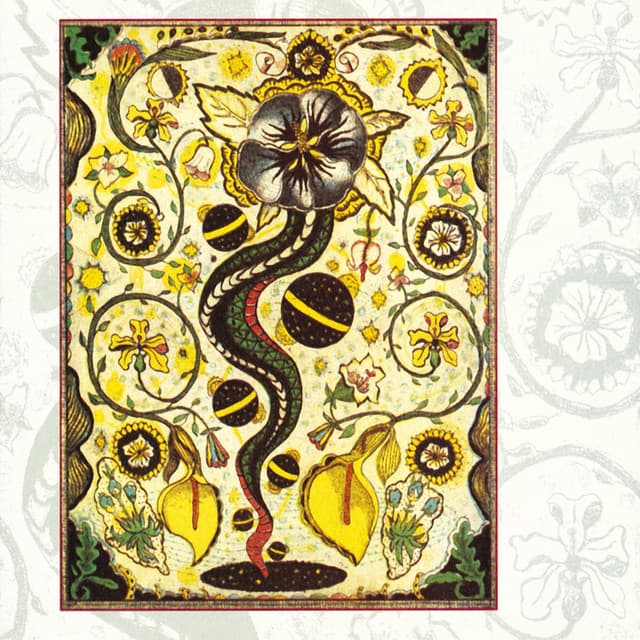 I Feel Alright - Steve Earle