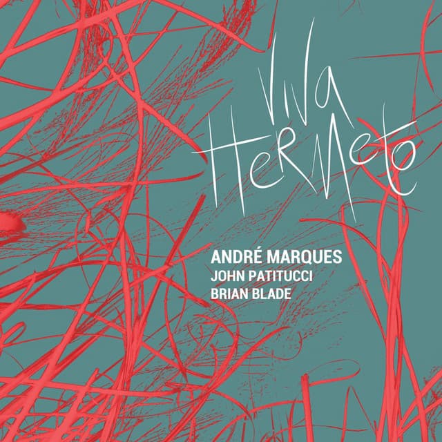 Viva Hermeto - Andre Marques