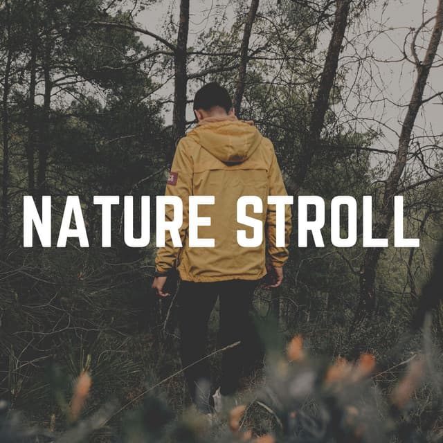Nature Stroll - Bird Sounds
