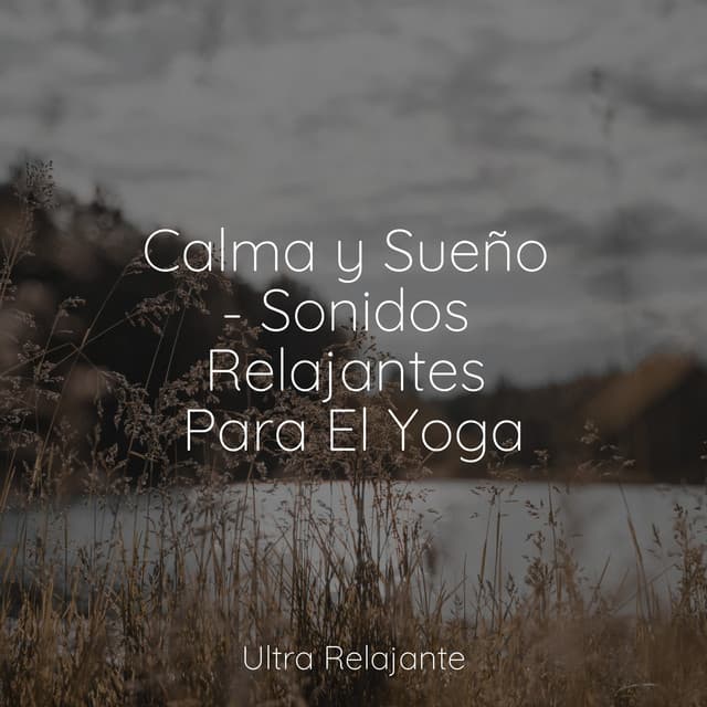 Calma y Sueño - Sonidos Relajantes Para El Yoga - Música para Dormir Con Relajantes Sonidos de la Naturaleza