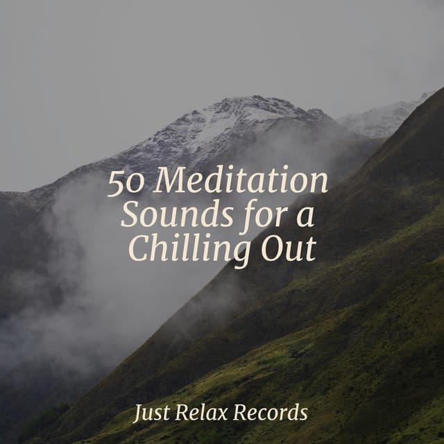 50 Meditation Sounds for a Chilling Out - Ambient