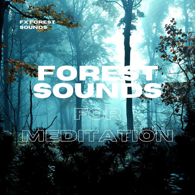 Forest Sounds for Meditation - FX Forest Sounds