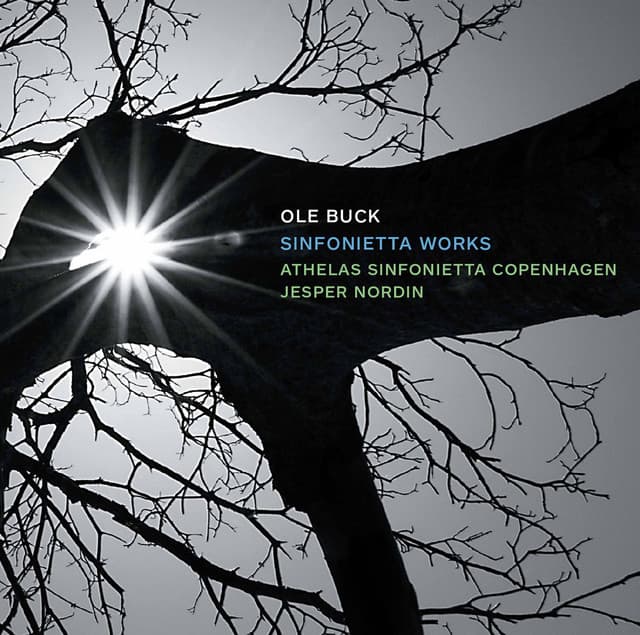 Ole Buck: Sinfonietta Works - Ole Buck