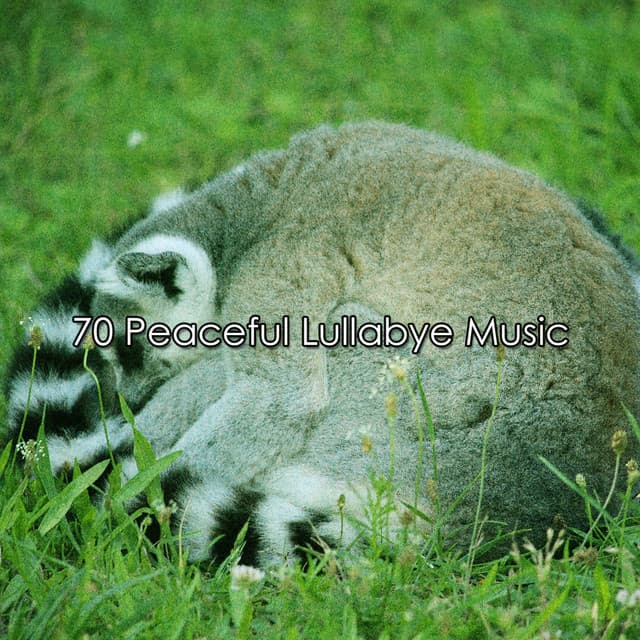 70 Peaceful Lullabye Music - Sleepy Night Music