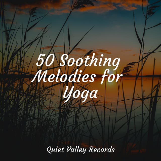 50 Soothing Melodies for Yoga - Soothing Music Academy