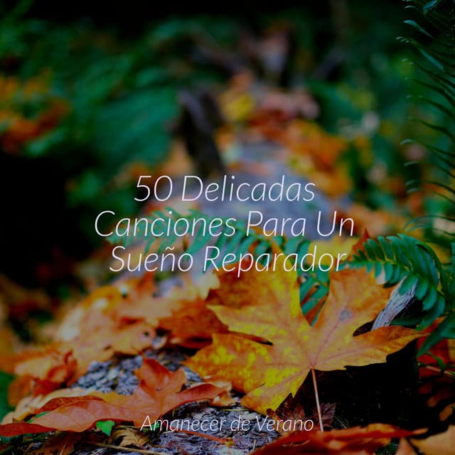 50 Delicadas Canciones Para Un Sueño Reparador - El hada de las canciones de cuna