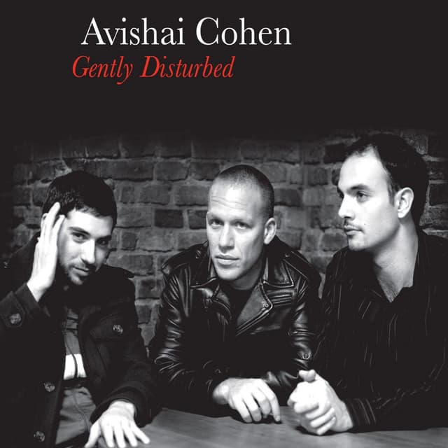 Gently Disturbed - Avishai Cohen