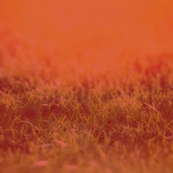 Charming Trumpet Solo - Ambiance for Unique Thoughts - Sleepy Night Music