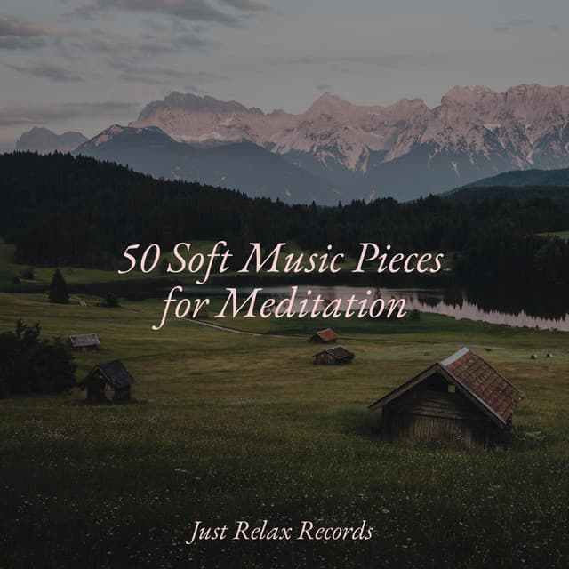 50 Soft Music Pieces for Meditation - Chillout Lounge