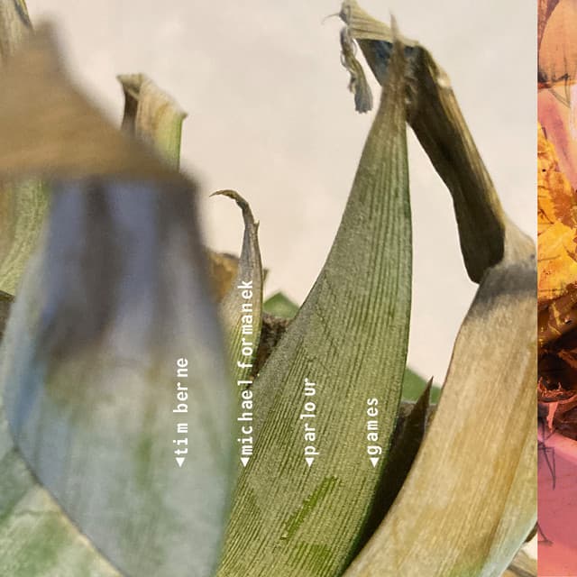 Parlour Games - Tim Berne