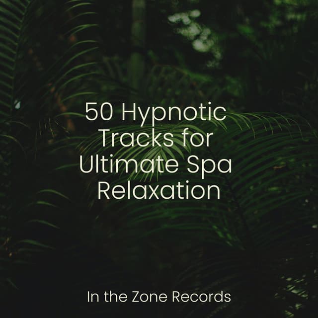 50 Hypnotic Tracks for Ultimate Spa Relaxation - Meditation Relaxation Club