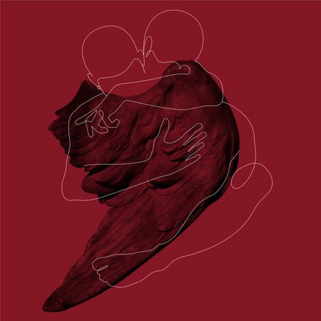 Ikaros - Stefan Levin