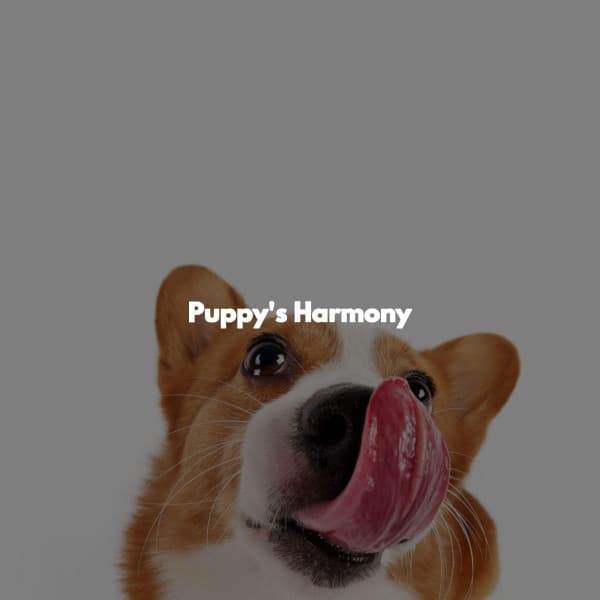 Puppy's Harmony - Smooth Dinner Jazz Group