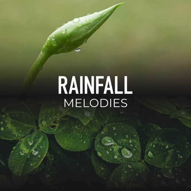 Rainfall Melodies - Calming Sounds