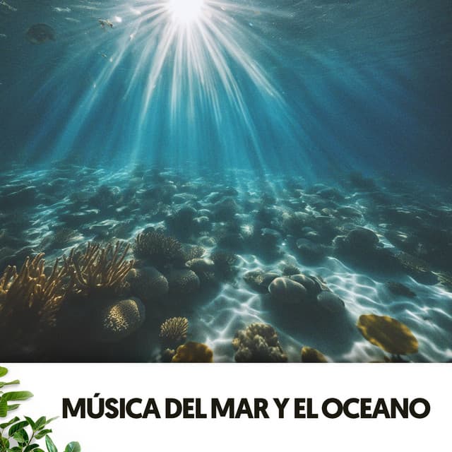 Música del Mar y el Oceano: Melodias de agua y sal - Solfeggio Frequencies 528Hz