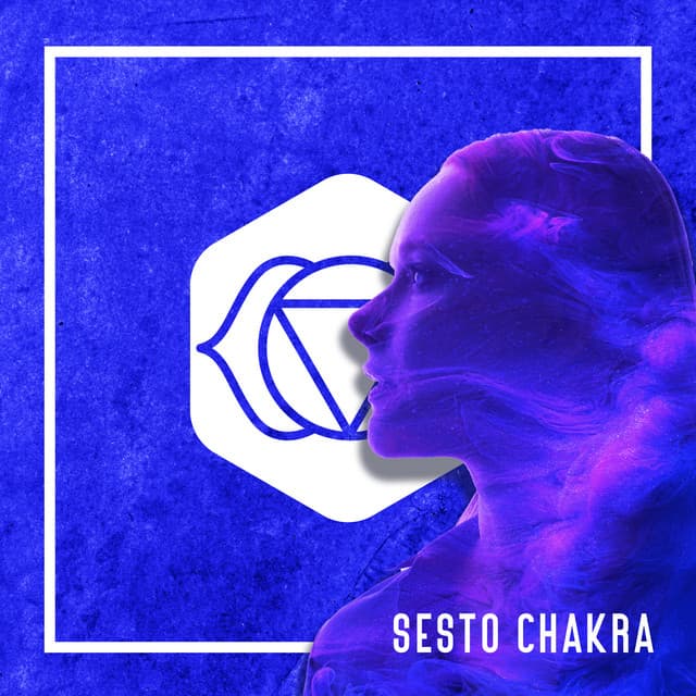 Sesto Power Node - Ashna Lite