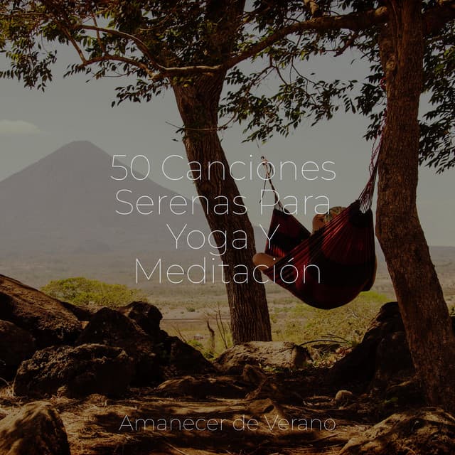 50 Canciones Serenas Para Yoga Y Meditación - Canción de Cuna