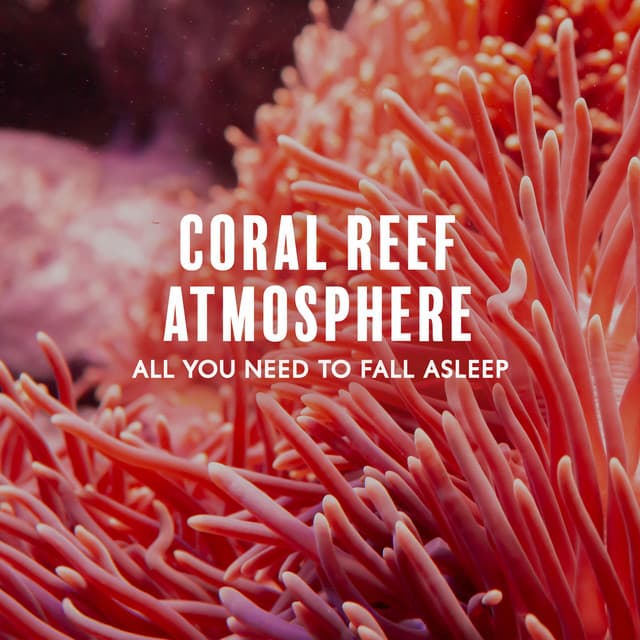 Coral Reef Atmosphere: All You Need to Fall Asleep, Ocean Sounds During a Lunar Eclipse in the Philippines, Ocean Breeze All Night, Blue Dreams - Ocean Waves For Sleep