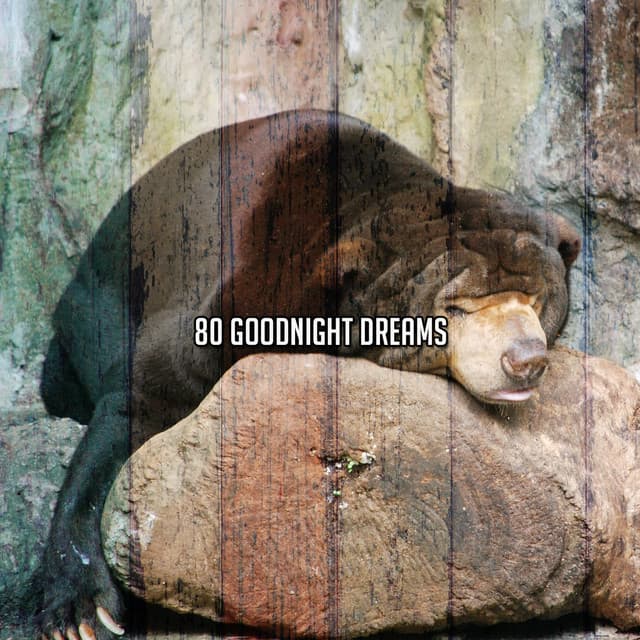80 Goodnight Dreams - Musica para Dormir 101