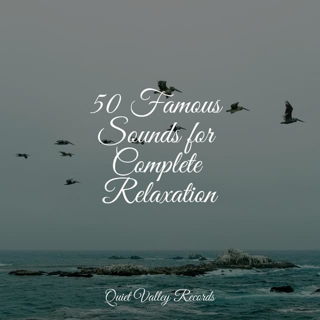 50 Famous Sounds for Complete Relaxation - Schlaflieder Relax