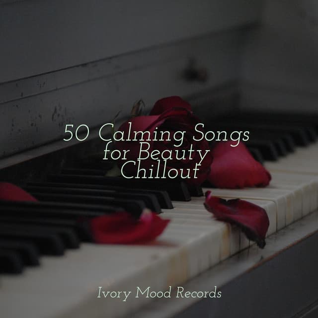 50 Calming Songs for Beauty Chillout - Sleepy Night Music