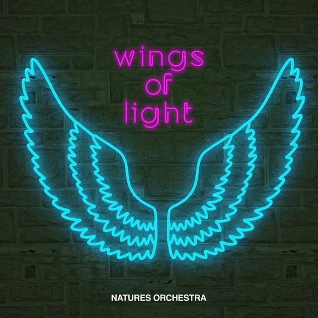 Wings of Light - Natures Orchestra