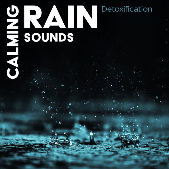 Calming Rain Sounds: Detoxification, Stress Relaxation, Calmness of Mind, Meditation Moments - Close to Nature Music Ensemble