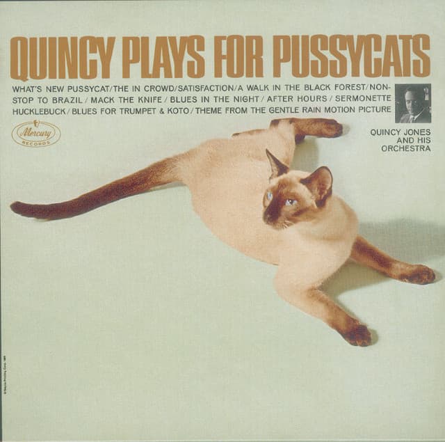 Quincy Plays For Pussycats - Quincy Jones