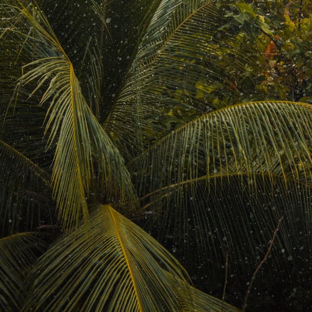 10 Rainy Nights: Deep Sleep Frequencies - Meditation Rain Sounds